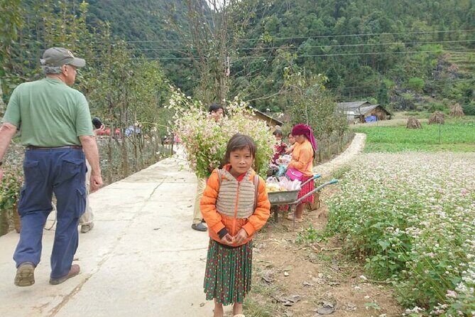 The Top Ha Giang Motorbike Tours All-Inclusive - Introduction to the Ha Giang Experience