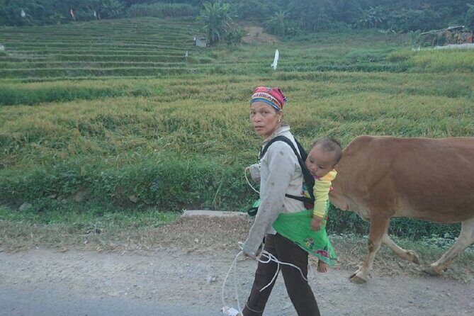 The Top Ha Giang Motorbike Tours All-Inclusive - Authentic Experiences and Insights from Travelers