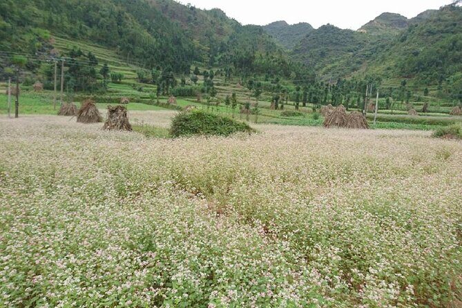 The Top Ha Giang Motorbike Tours All-Inclusive - FAQ