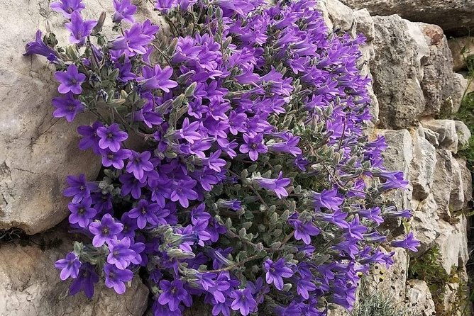 the-top-peloponnese-greece-luxury-private-tour