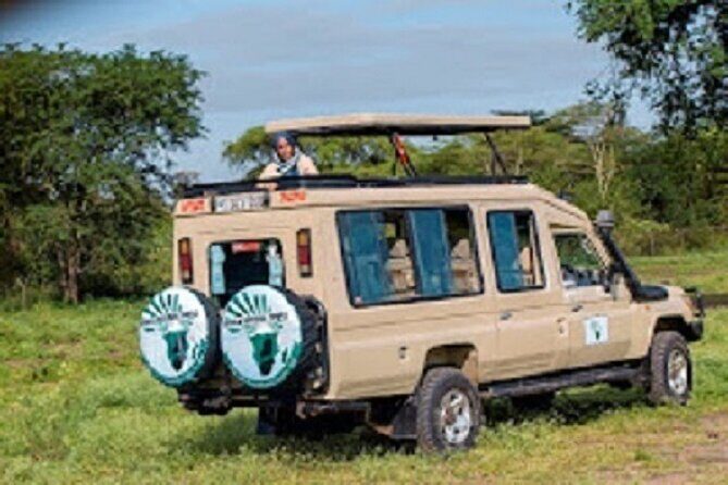 The Top Rated 6-Day Serengeti Budget Camping Safari in Tanzania - Real Traveler Insights and Reviews