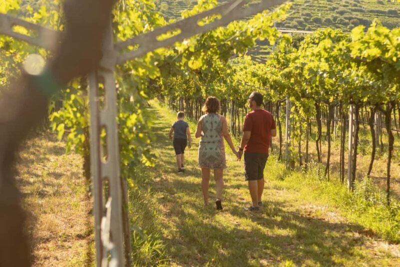 THE TRADITIONS OF VALPOLICELLA: WINE, EVO OIL, AND HONEY TASTING - FAQ