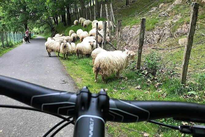 The Train Track Trail Mountain Bike Ride - Private experience - Who Should Consider This Tour?