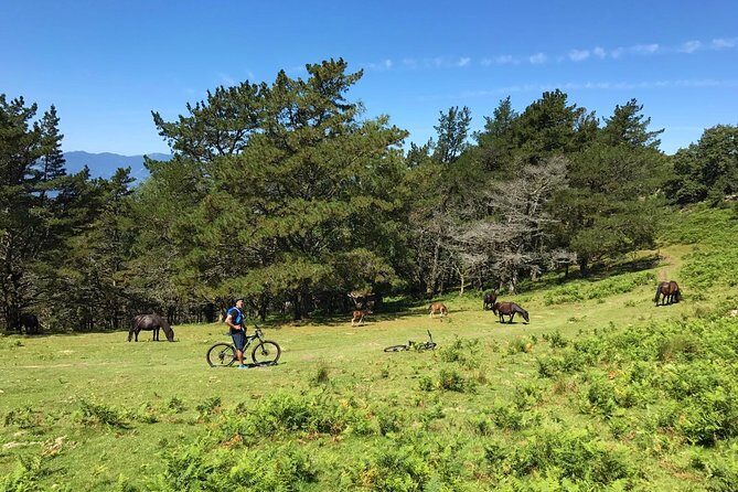 The Train Track Trail Mountain Bike Ride - Private experience - Frequently Asked Questions