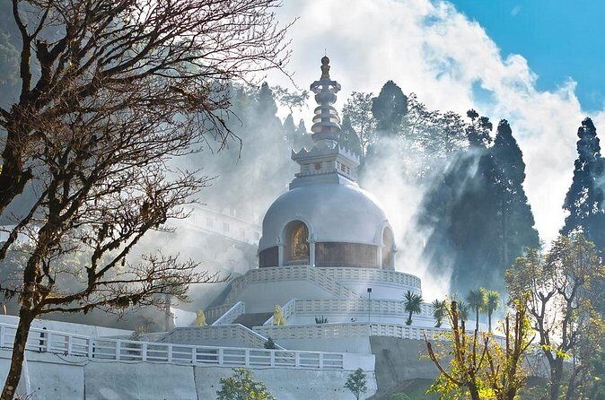 The Travel Tart (5 Point). - Final Thoughts