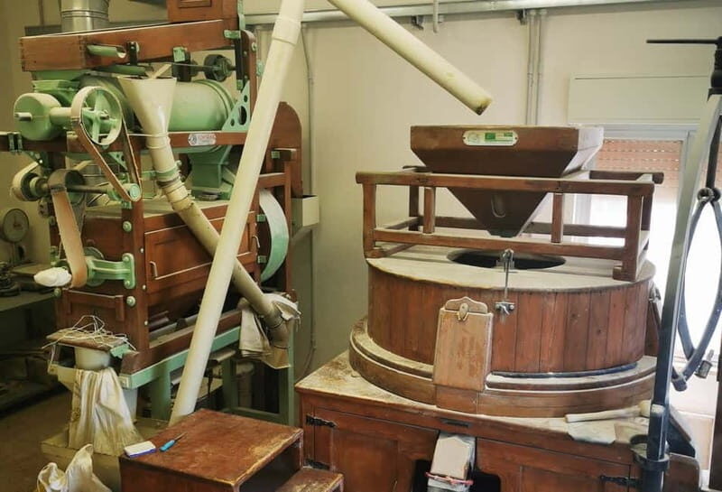 The treasures of the Nisseno: oil wine cheese and cuddrireda - Who Will Love This Tour?