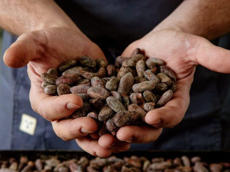 the-turin-chocolate-factory-guided-tour-tasting-2