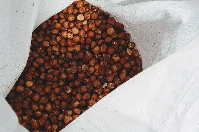the-turin-chocolate-factory-guided-tour-tasting
