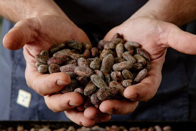 the-turin-chocolate-factory-guided-tour-tasting