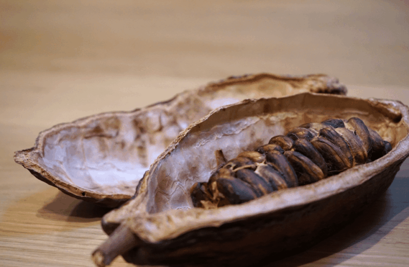 the-turin-chocolate-wine-tasting-experience