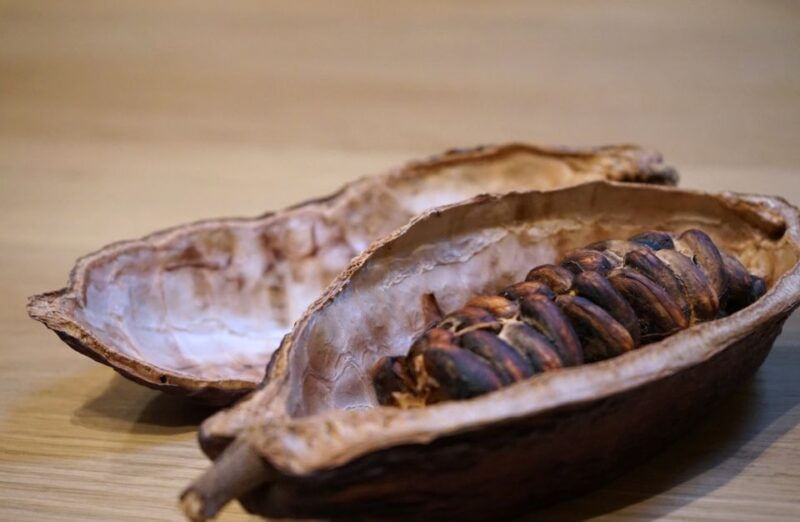 the-turin-chocolate-wine-tasting-experience