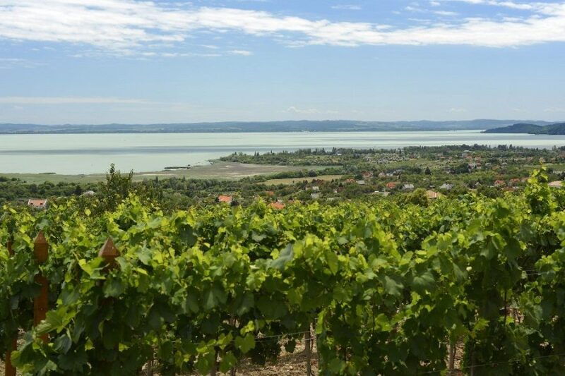 the-turquoise-sea-of-hungary-lake-balaton-private-tour
