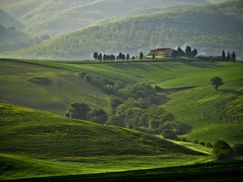 The Tuscan lavender field - Detailed review of the experience