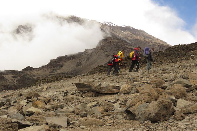 The Ultimate 8-day Lemosho route Climbing Kilimanjaro - Who Is This Tour Best Suited For?