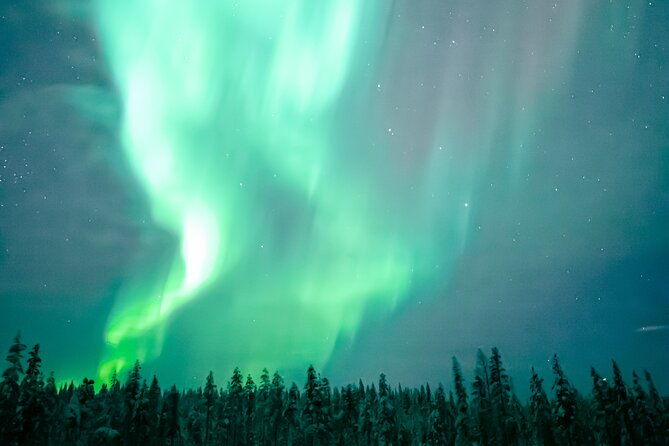 the-ultimate-aurora-hunt-guaranteed