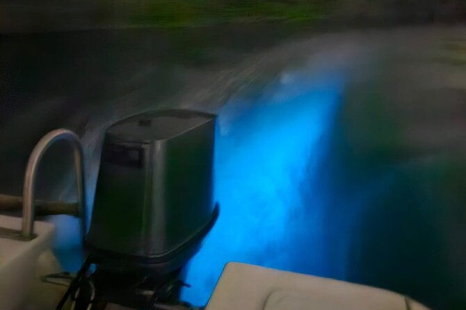 the-ultimate-bioluminescence-night-time-adventure-with-brandon