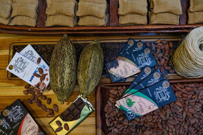 the-ultimate-cocoa-farm-experience