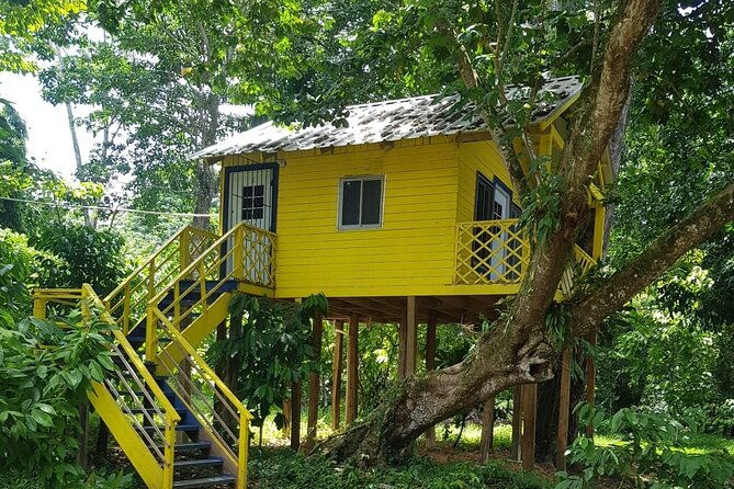 the-ultimate-dominican-horseback-riding-adventure