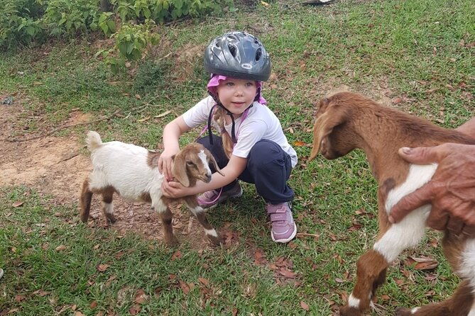 the-ultimate-dominican-horseback-riding-adventure