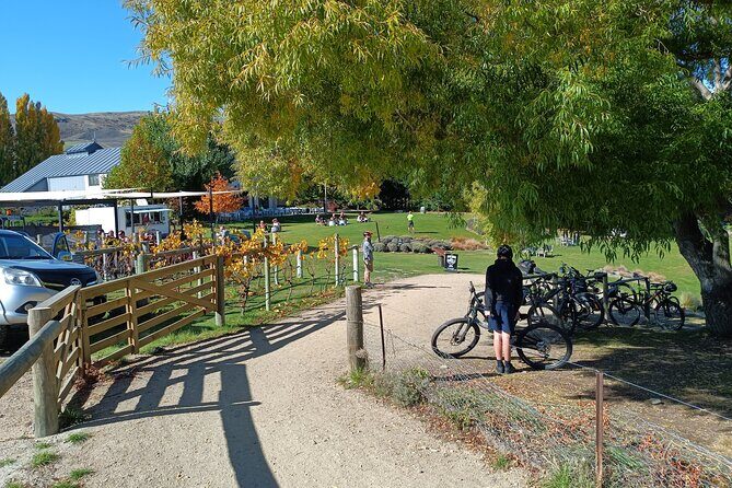 The Ultimate Lake Dunstan Bike Hire And Boat Experience - Key Points