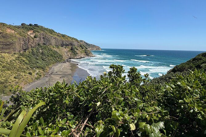 The Ultimate Muriwai Gannet Colony Experience Private Tour - Final Thoughts
