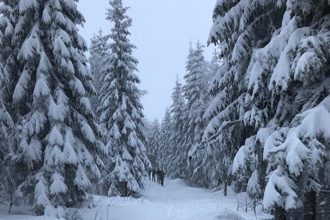 the-ultimate-norwegian-skiing-experience