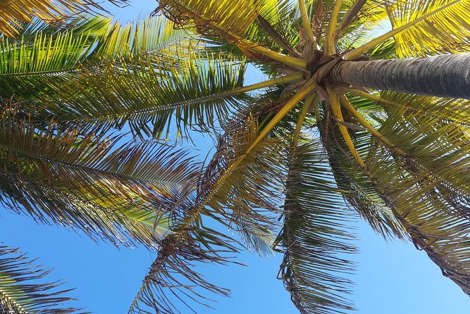 the-ultimate-st-lucian-experience-tour-for-cruise-ship-passengers