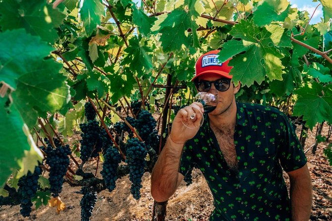 the-ultimate-wine-country-experience-private-all-inclusive