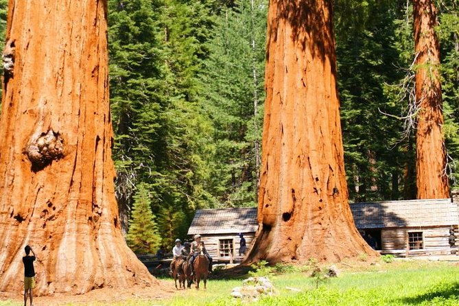 the-ultimate-yosemite-grand-experience-4-day-travel-package-hotel-included