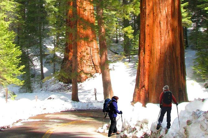 the-ultimate-yosemite-national-park-full-experience-5-days-vacation-package