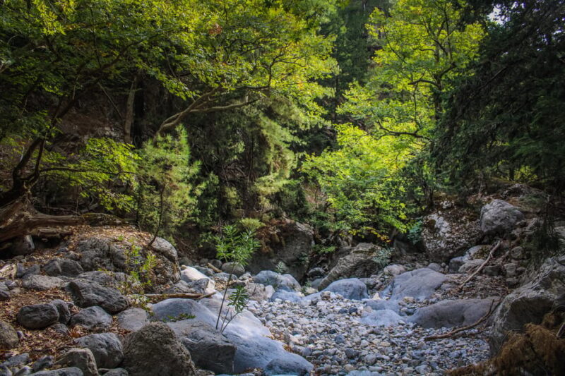 The Unique Tour of Samaria Gorge - A Detailed Look at the Tour Experience