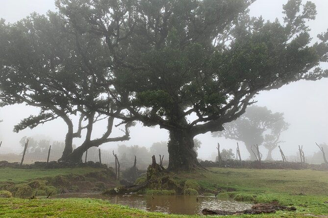 the-untraveled-west-tour