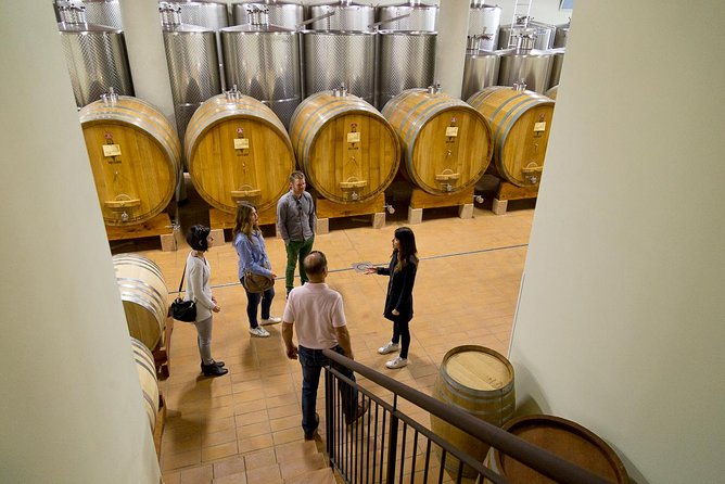 the-valpolicella-food-wine-driving-tour-cheese-factory-winery