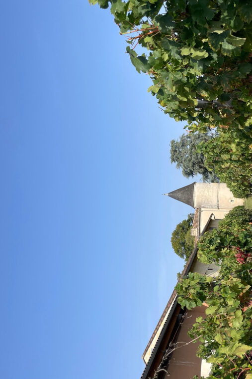 the-vertical-at-chateau-cruzeau