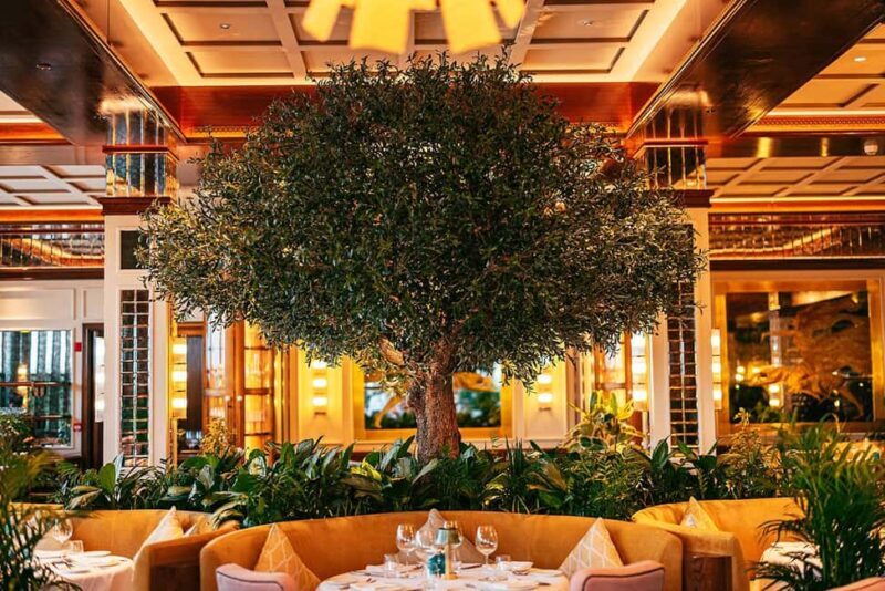 The View Fast Track with an Italian Lunch at Signor Sassi - An In-Depth Look at the Experience