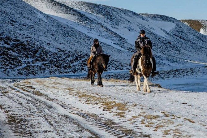 the-viking-horse-riding-experience-in-north-iceland