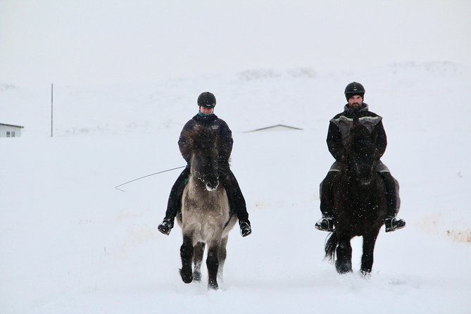 the-viking-horse-riding-experience-in-north-iceland