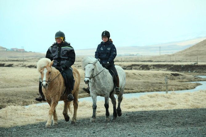 the-viking-horse-riding-experience-in-north-iceland