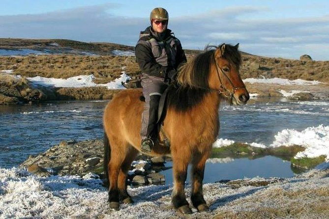 the-viking-horse-riding-experience-in-north-iceland