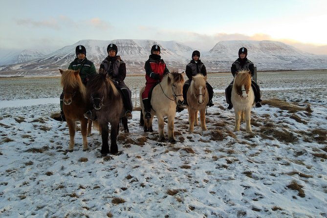 the-viking-horse-riding-experience-in-north-iceland