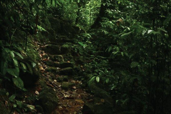 The village crossing and forest hike to old waterfalls  Makandawa Rainforest - Key Points