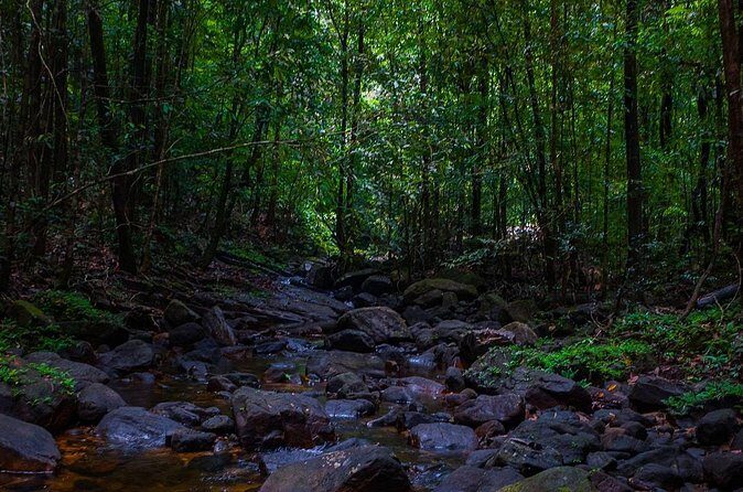 The village crossing and forest hike to old waterfalls  Makandawa Rainforest - The Sum Up