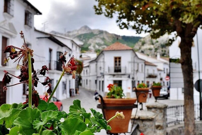 the-villages-of-andalusia-full-day-trip-from-seville