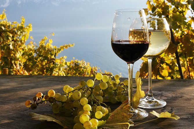 the-vine-tour-from-zurich-private-tour