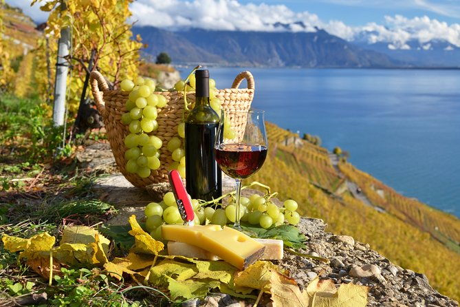 the-vine-tour-from-zurich-private-tour