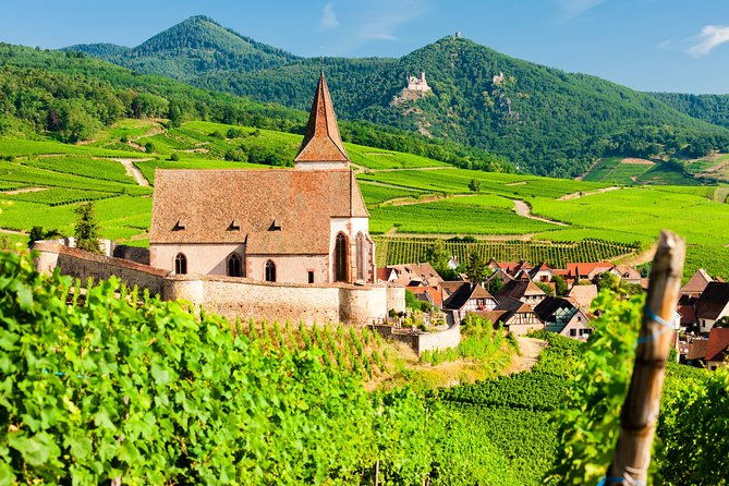 the-vine-tour-from-zurich-private-tour