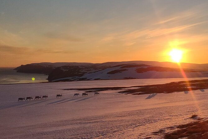 the-vip-north-cape-tour-honningsvag-skarsvag-the-north-cape