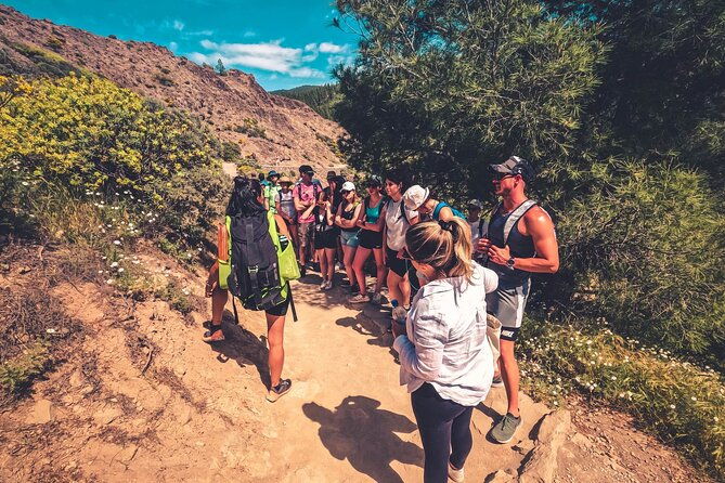 the-volcano-heart-tour-hiking-tasting-and-sunset-experience
