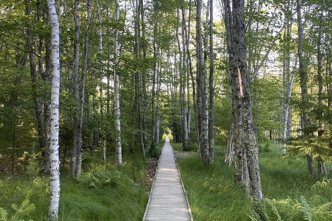 the-way-life-should-be-4-hr-private-guided-tour-of-acadia-np