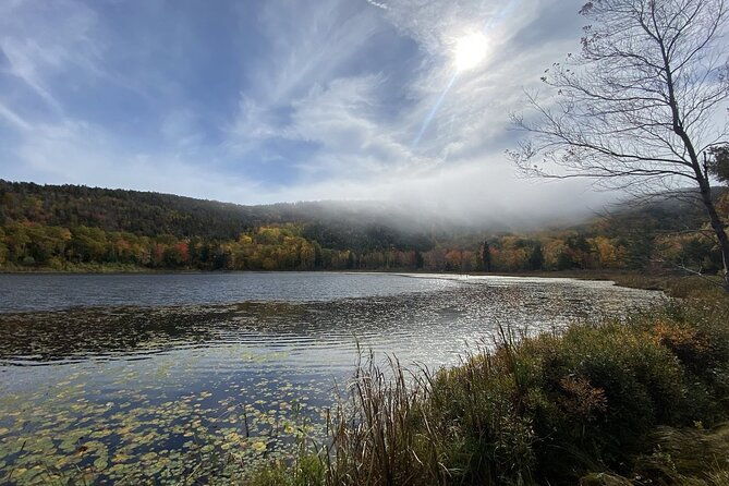 the-way-life-should-be-4-hr-private-guided-tour-of-acadia-np